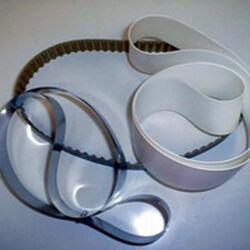 Zebra Skimmers Replacement Poly & Stainless Steel Belts